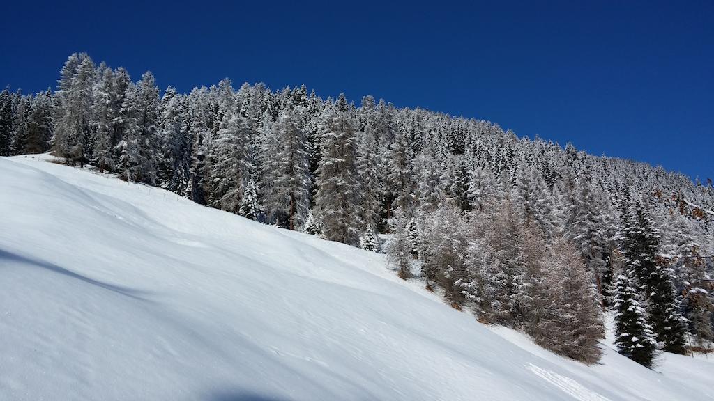 Ferienwohnung Gadenstatt Davos Exterior foto